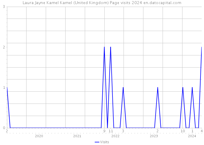 Laura Jayne Kamel Kamel (United Kingdom) Page visits 2024 