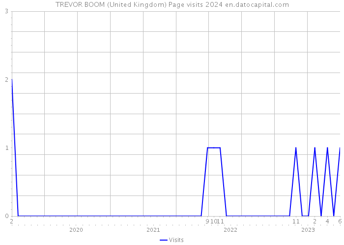 TREVOR BOOM (United Kingdom) Page visits 2024 