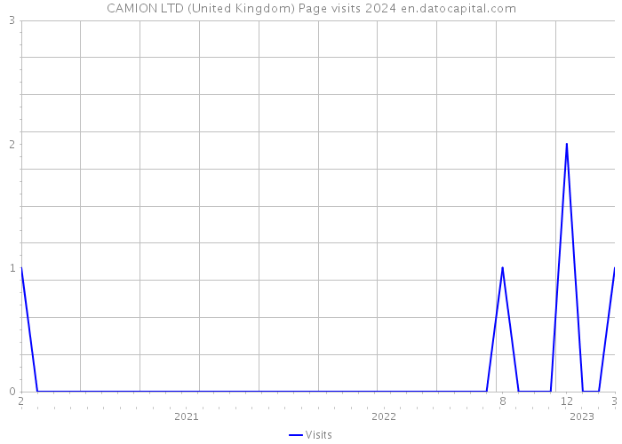 CAMION LTD (United Kingdom) Page visits 2024 