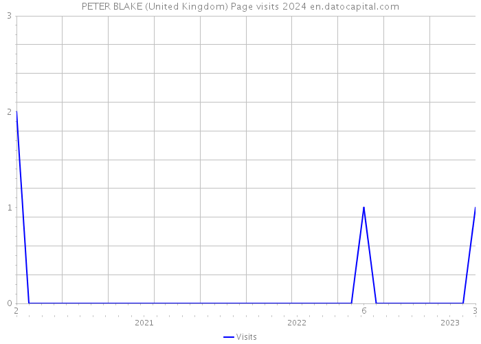PETER BLAKE (United Kingdom) Page visits 2024 