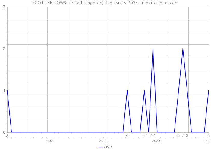 SCOTT FELLOWS (United Kingdom) Page visits 2024 