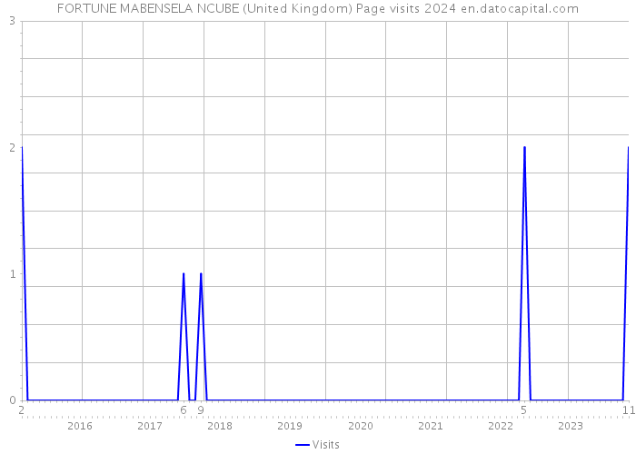 FORTUNE MABENSELA NCUBE (United Kingdom) Page visits 2024 