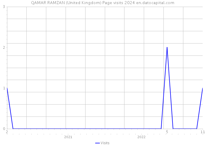 QAMAR RAMZAN (United Kingdom) Page visits 2024 