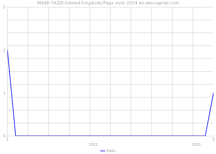 MAJID YAZDI (United Kingdom) Page visits 2024 