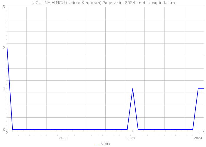 NICULINA HINCU (United Kingdom) Page visits 2024 