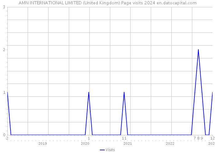 AMN INTERNATIONAL LIMITED (United Kingdom) Page visits 2024 
