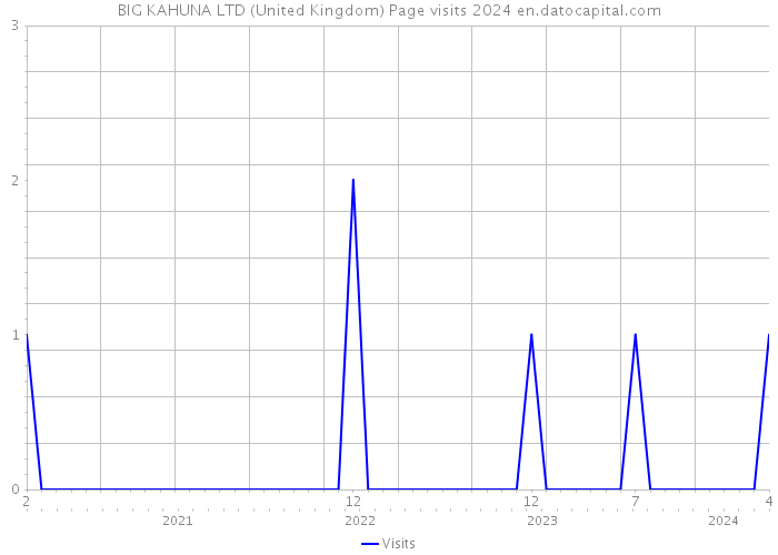 BIG KAHUNA LTD (United Kingdom) Page visits 2024 