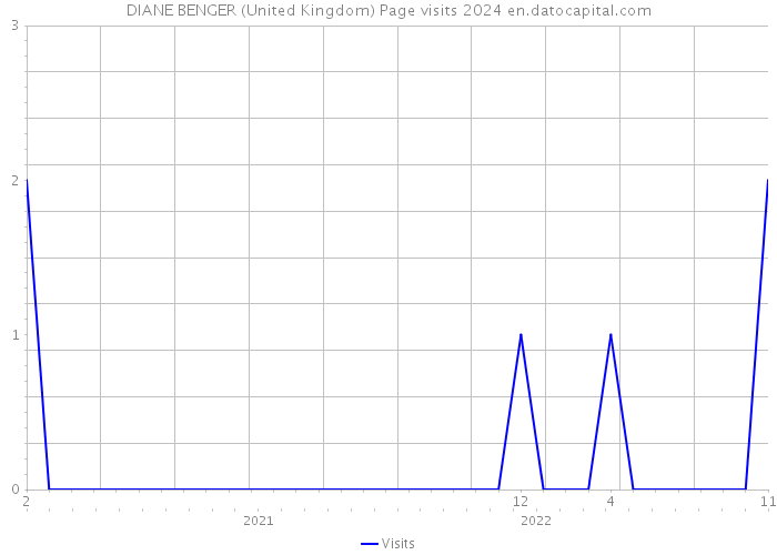 DIANE BENGER (United Kingdom) Page visits 2024 