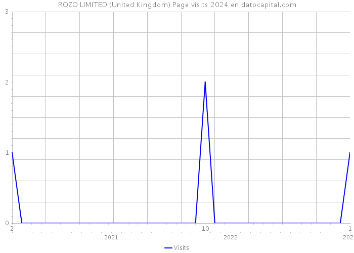 ROZO LIMITED (United Kingdom) Page visits 2024 