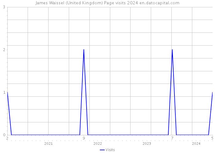 James Waissel (United Kingdom) Page visits 2024 