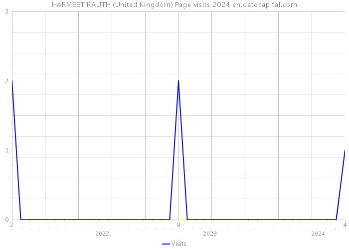 HARMEET RAUTH (United Kingdom) Page visits 2024 