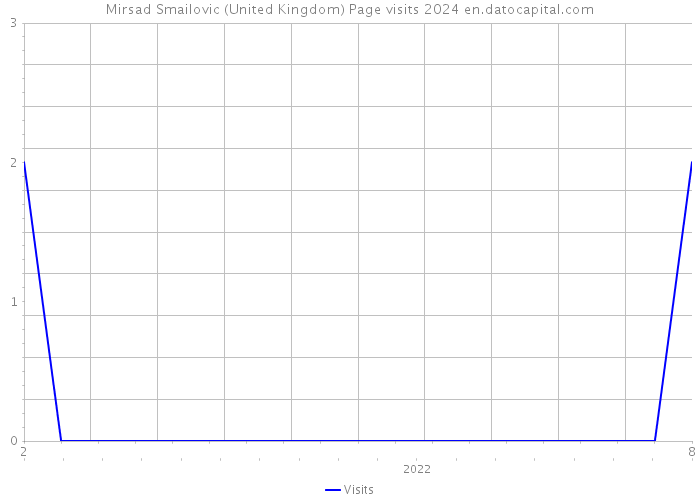 Mirsad Smailovic (United Kingdom) Page visits 2024 