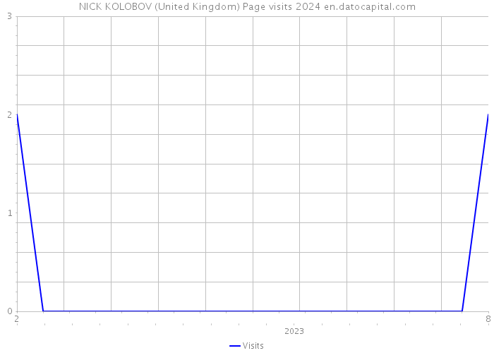 NICK KOLOBOV (United Kingdom) Page visits 2024 