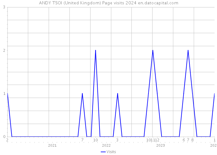 ANDY TSOI (United Kingdom) Page visits 2024 