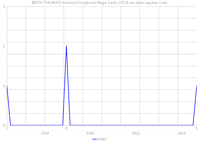BRYN THOMAS (United Kingdom) Page visits 2024 