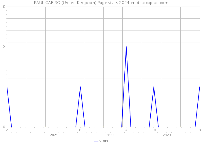 PAUL CAEIRO (United Kingdom) Page visits 2024 