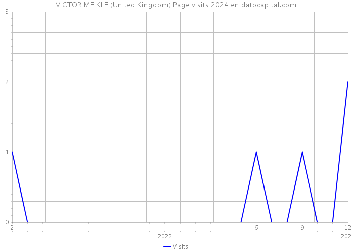 VICTOR MEIKLE (United Kingdom) Page visits 2024 