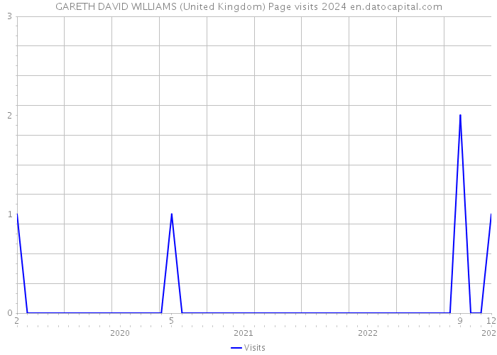 GARETH DAVID WILLIAMS (United Kingdom) Page visits 2024 