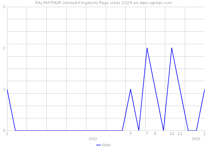 RAJ MATHUR (United Kingdom) Page visits 2024 