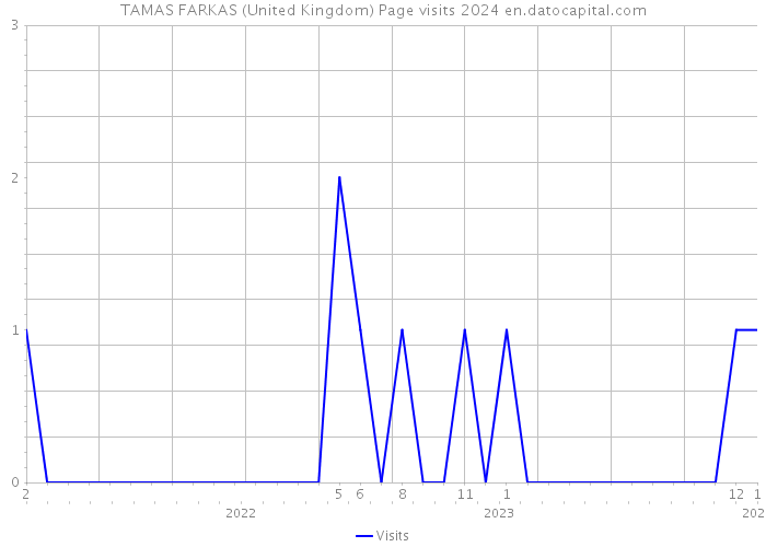 TAMAS FARKAS (United Kingdom) Page visits 2024 