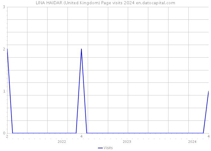 LINA HAIDAR (United Kingdom) Page visits 2024 