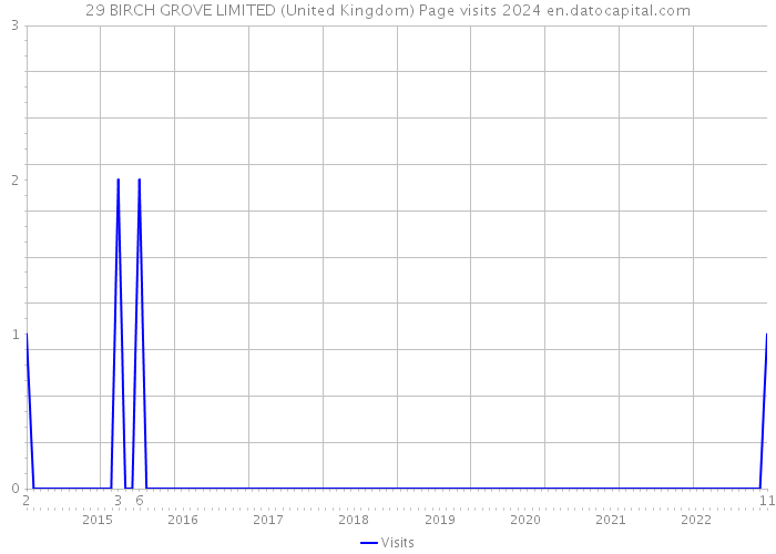 29 BIRCH GROVE LIMITED (United Kingdom) Page visits 2024 
