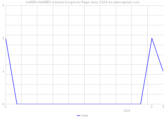 KAREN HAMERS (United Kingdom) Page visits 2024 