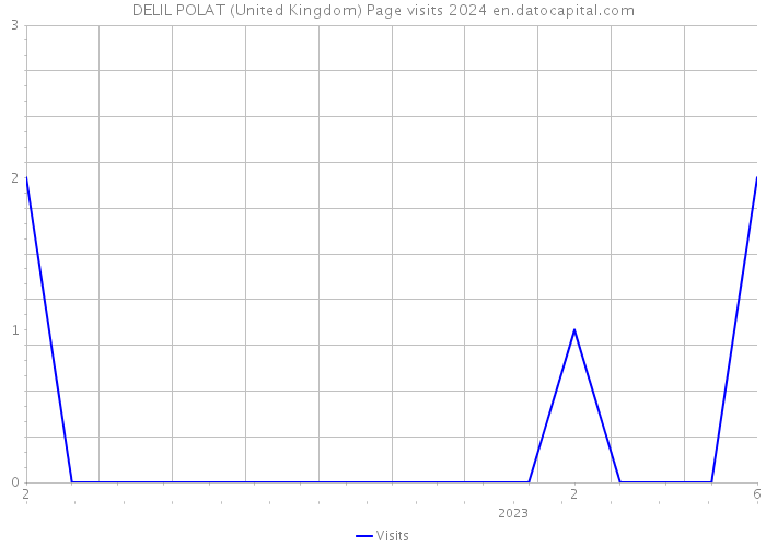 DELIL POLAT (United Kingdom) Page visits 2024 