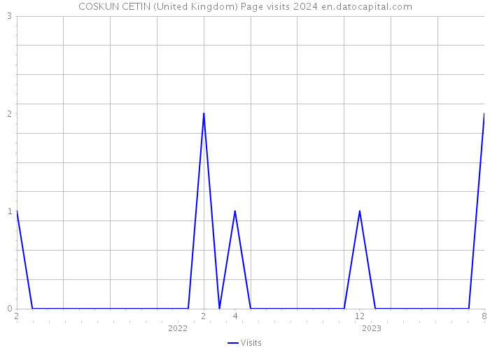 COSKUN CETIN (United Kingdom) Page visits 2024 