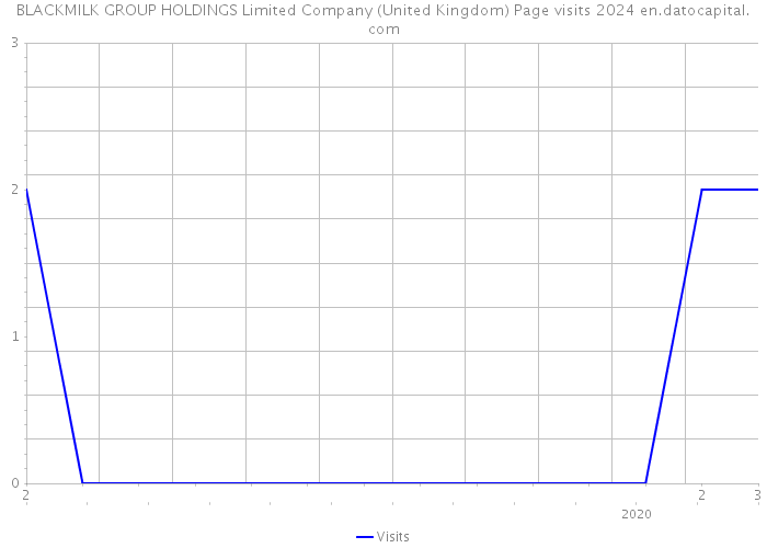 BLACKMILK GROUP HOLDINGS Limited Company (United Kingdom) Page visits 2024 