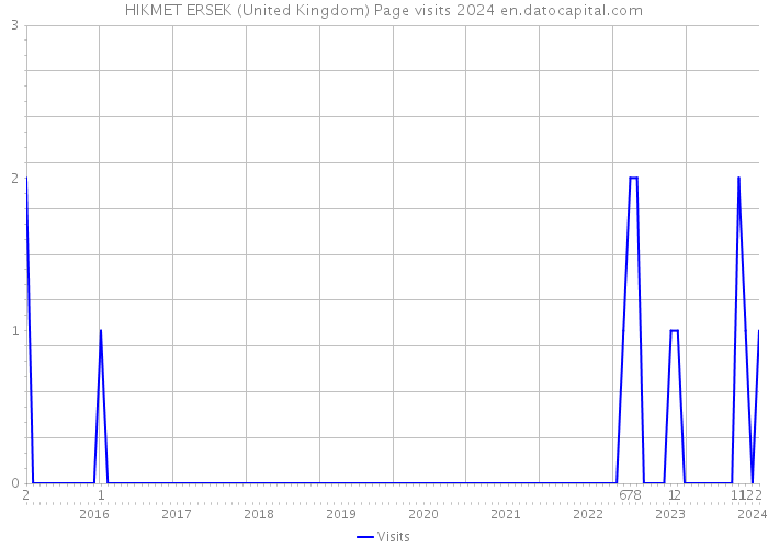 HIKMET ERSEK (United Kingdom) Page visits 2024 
