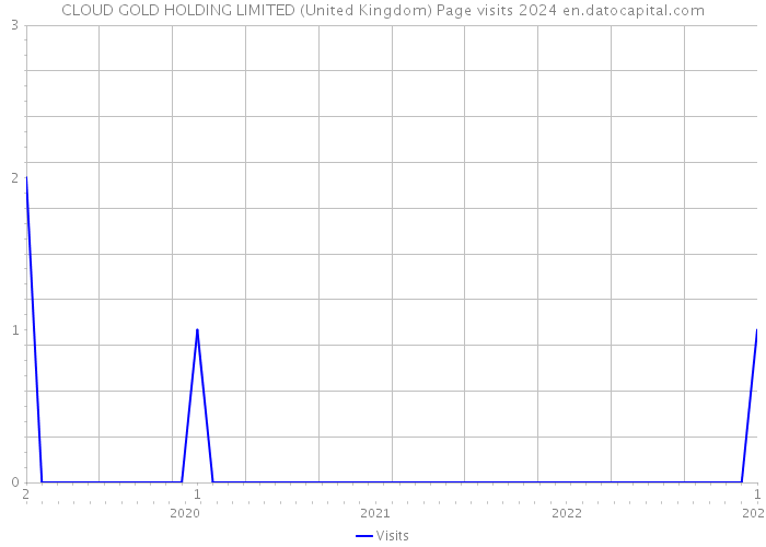CLOUD GOLD HOLDING LIMITED (United Kingdom) Page visits 2024 