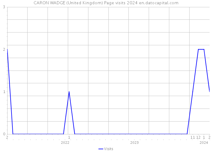 CARON WADGE (United Kingdom) Page visits 2024 