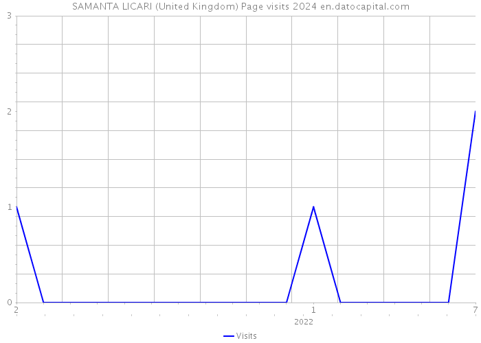 SAMANTA LICARI (United Kingdom) Page visits 2024 