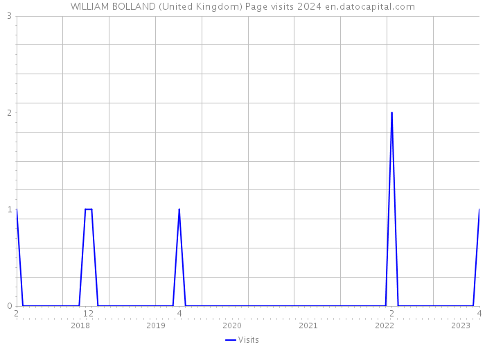 WILLIAM BOLLAND (United Kingdom) Page visits 2024 