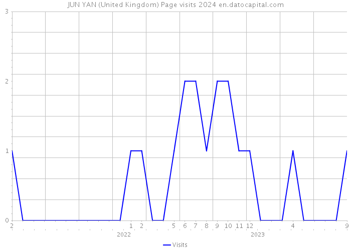 JUN YAN (United Kingdom) Page visits 2024 