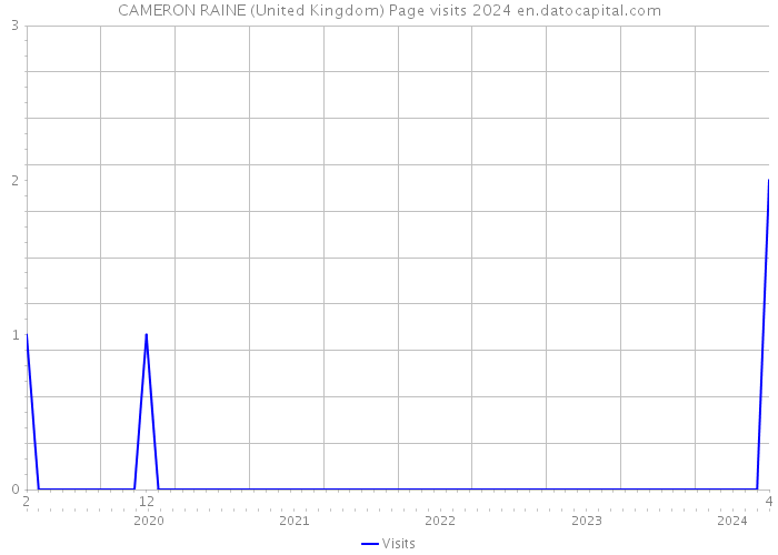 CAMERON RAINE (United Kingdom) Page visits 2024 