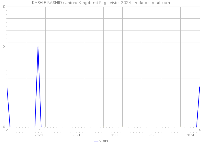 KASHIF RASHID (United Kingdom) Page visits 2024 