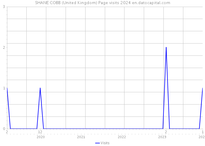 SHANE COBB (United Kingdom) Page visits 2024 