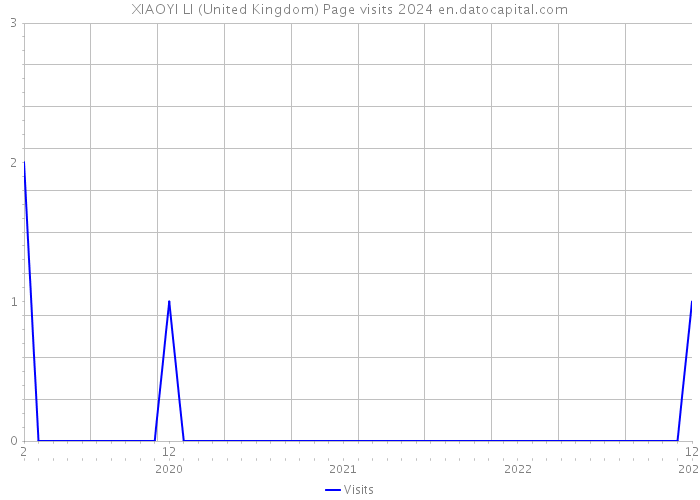 XIAOYI LI (United Kingdom) Page visits 2024 