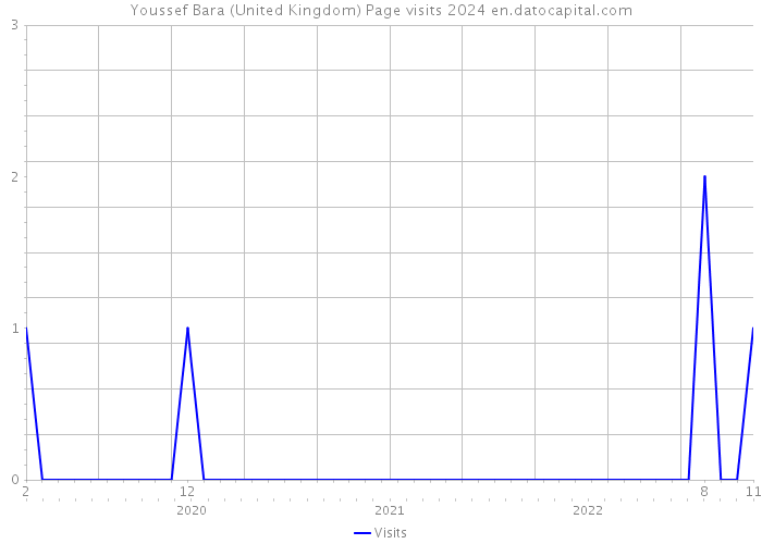 Youssef Bara (United Kingdom) Page visits 2024 