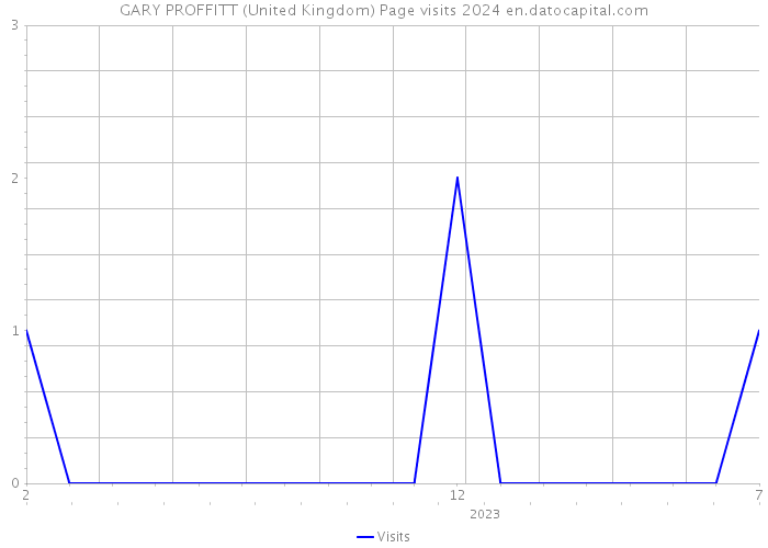 GARY PROFFITT (United Kingdom) Page visits 2024 