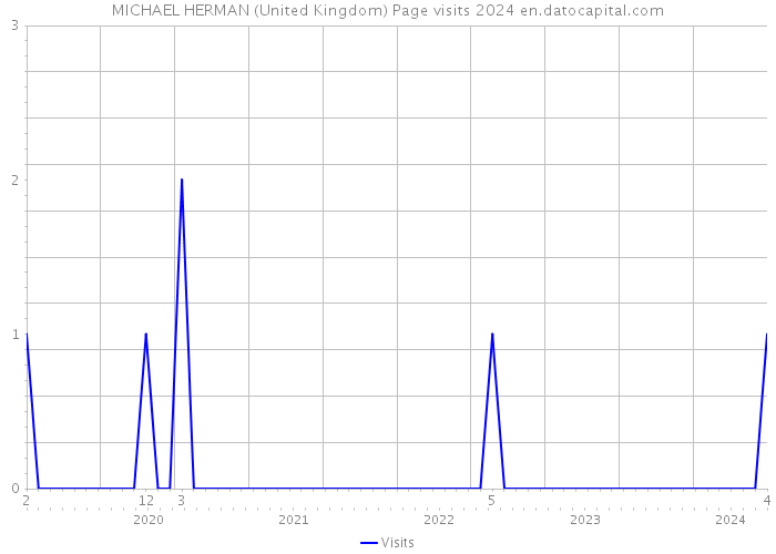 MICHAEL HERMAN (United Kingdom) Page visits 2024 