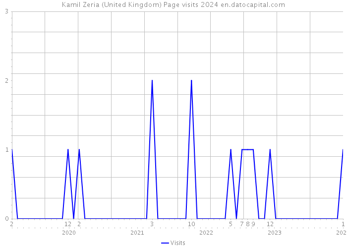 Kamil Zeria (United Kingdom) Page visits 2024 