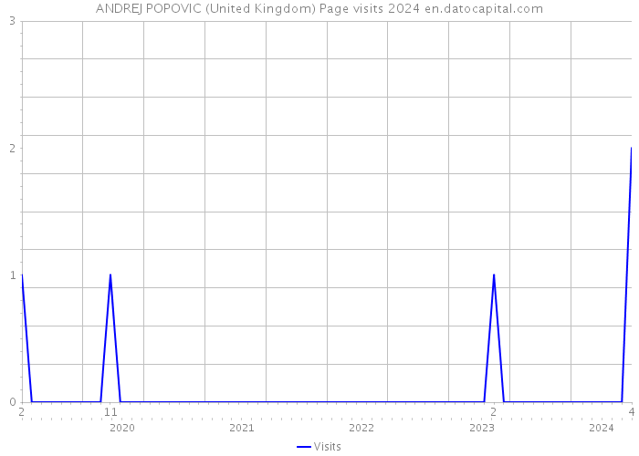 ANDREJ POPOVIC (United Kingdom) Page visits 2024 