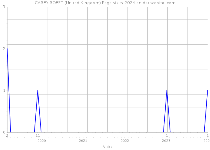 CAREY ROEST (United Kingdom) Page visits 2024 