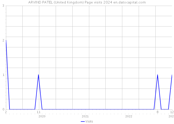 ARVIND PATEL (United Kingdom) Page visits 2024 