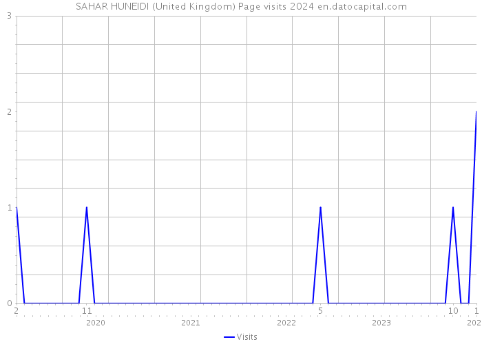SAHAR HUNEIDI (United Kingdom) Page visits 2024 