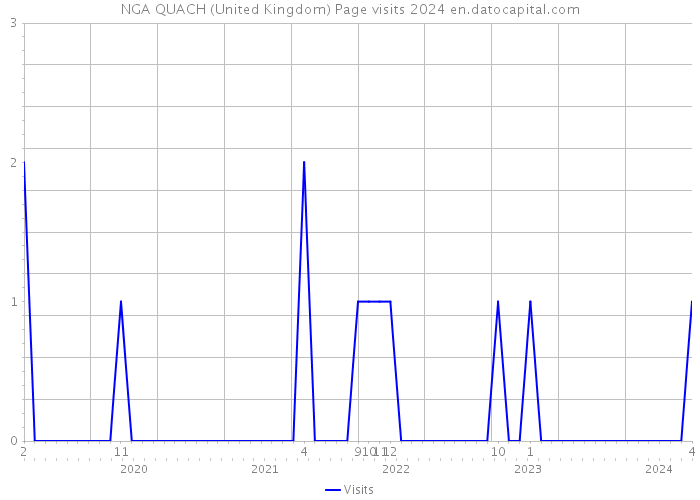 NGA QUACH (United Kingdom) Page visits 2024 