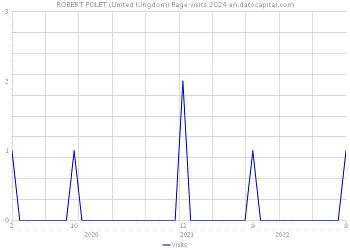 ROBERT POLET (United Kingdom) Page visits 2024 